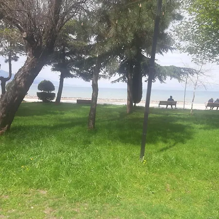 Me Qera Afer Liqenit, Altini Pogradec
